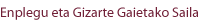 Enplegu eta Gizarte Gaietako Saila